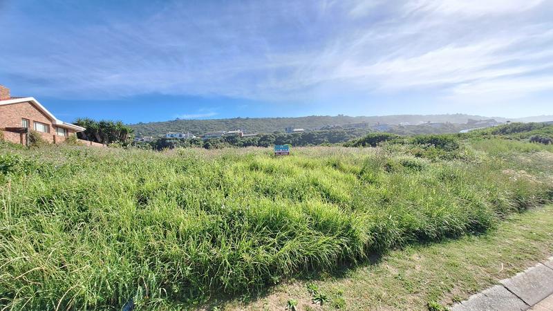 0 Bedroom Property for Sale in Outeniqua Strand Western Cape